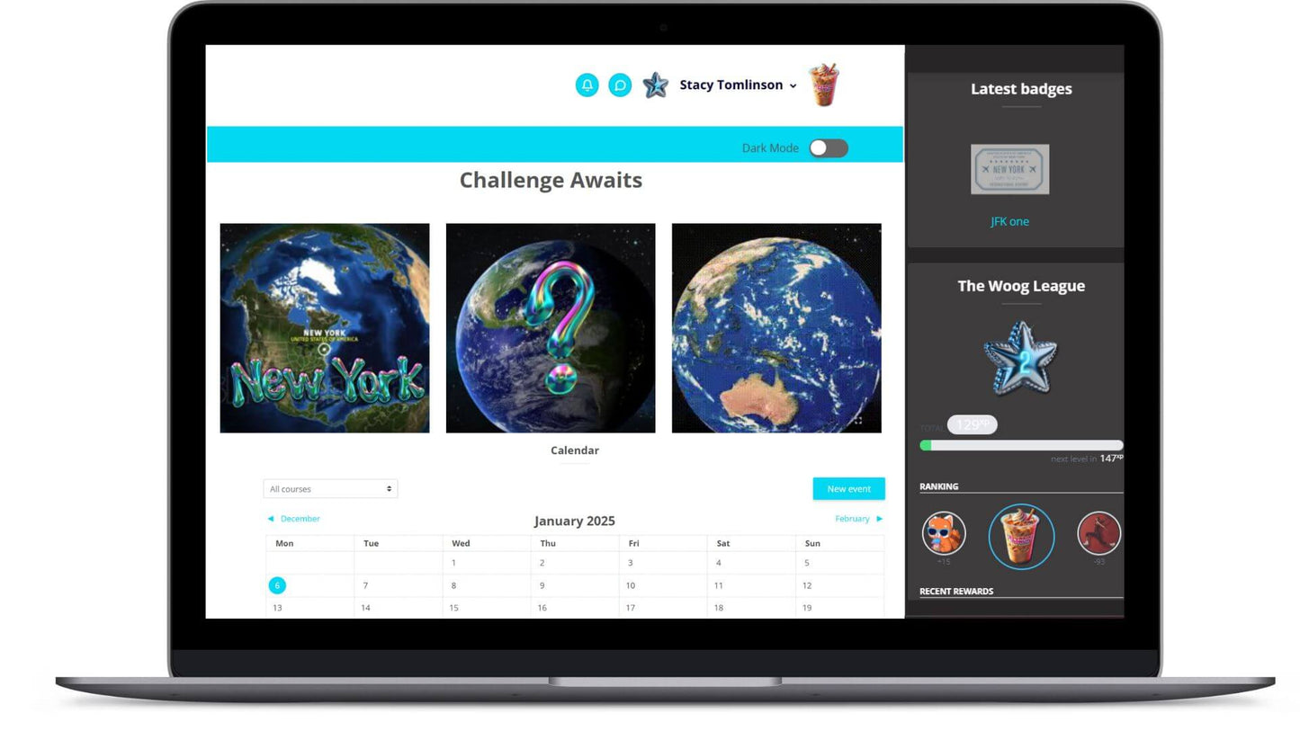 1 - 1 Tuition (13 lessons) - Woog Education