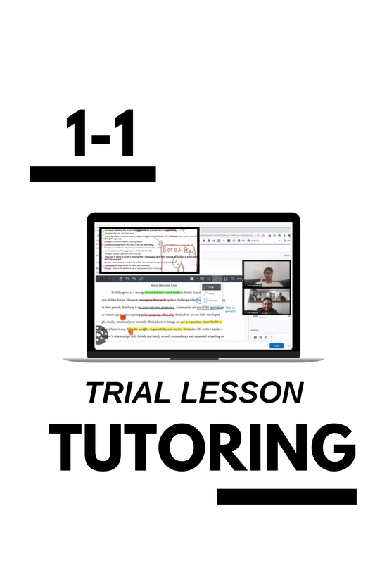 1 - 1 Trial Lesson - Woog Education